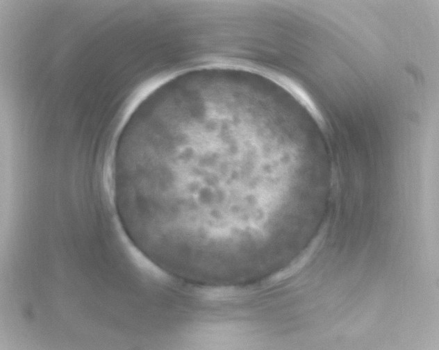 X0000115691247200911251806