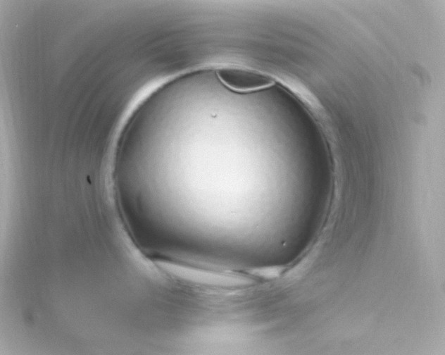 X0000115691248200911251806