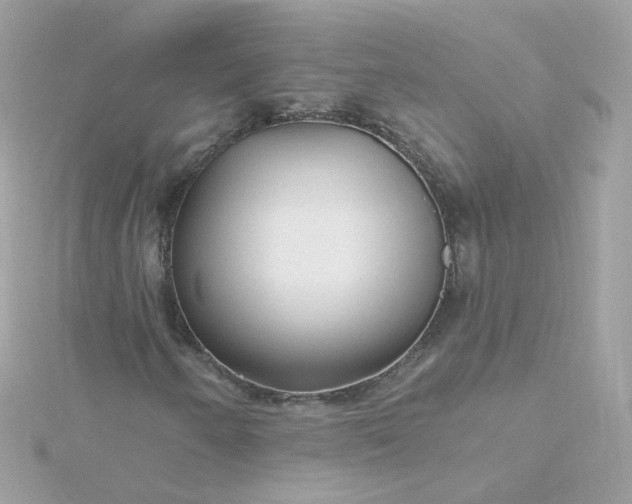 X0000115691250200911251806