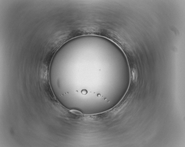 X0000115691251200911251806