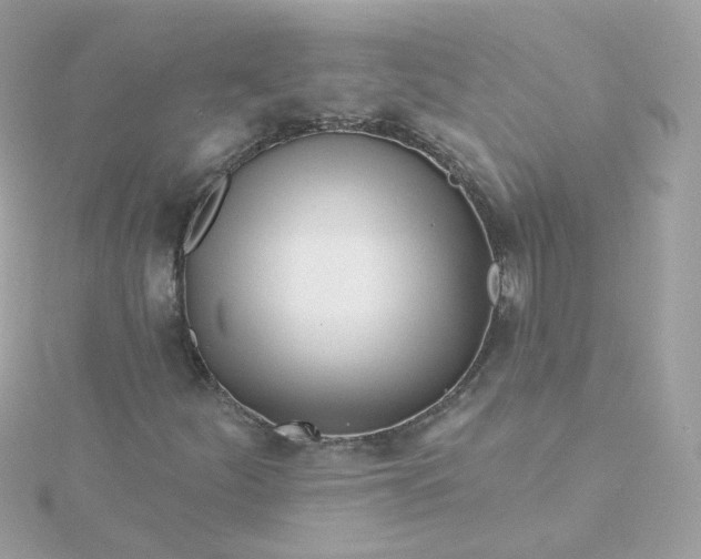 X0000115691252200911251806