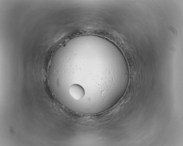 X0000115691253200911251806