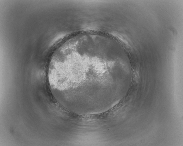 X0000115691254200911251806