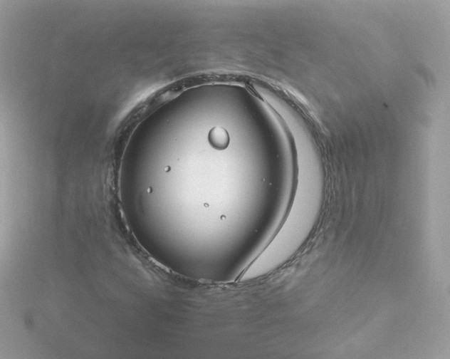 X0000115691255200911251806