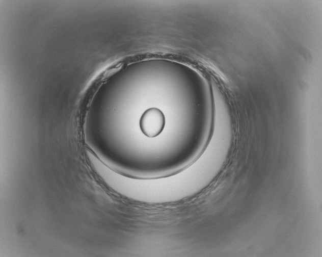 X0000115691256200911251806