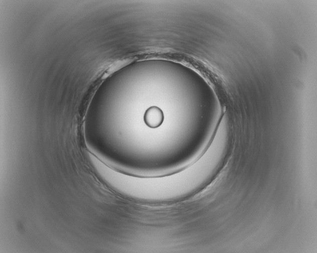 X0000115691257200911251806