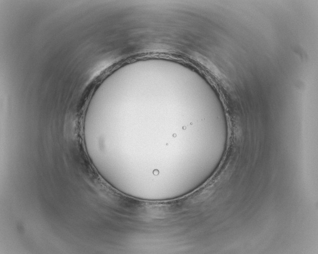 X0000115691258200911251806