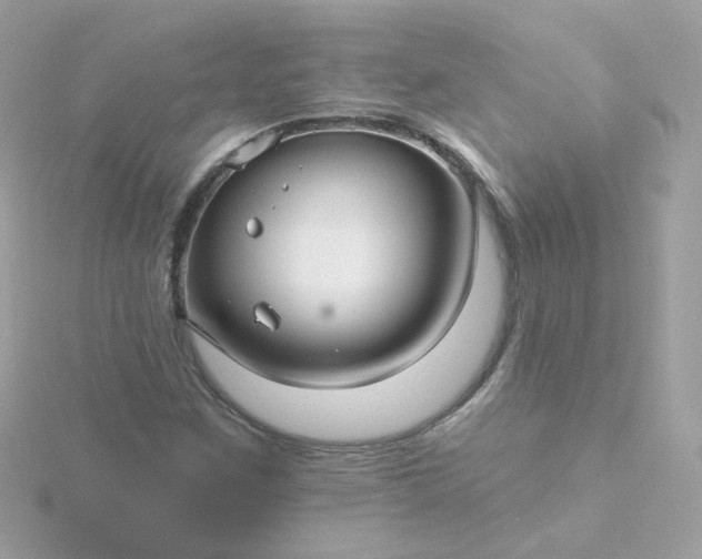 X0000115691259200911251806