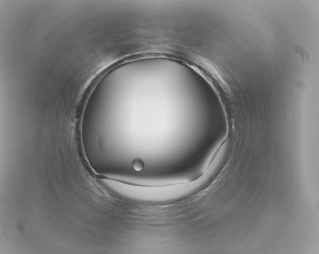 X0000115691260200911251806