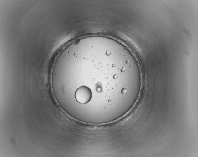 X0000115691261200911251806