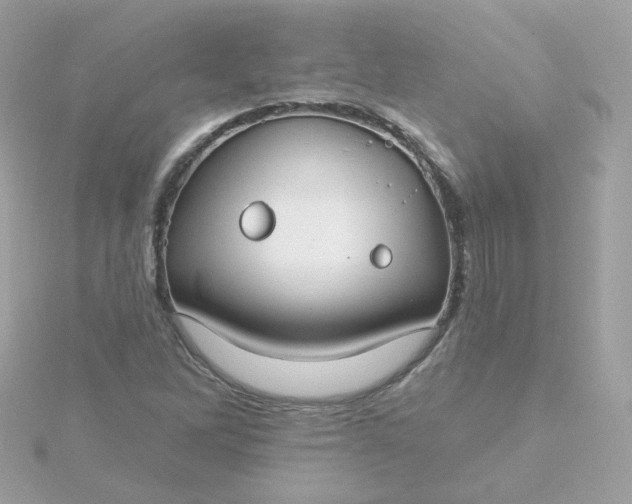 X0000115691262200911251806