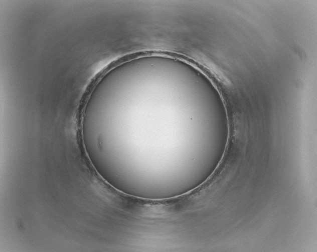 X0000115691264200911251806