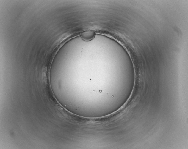 X0000115691265200911251806