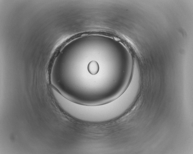 X0000115691267200911251806