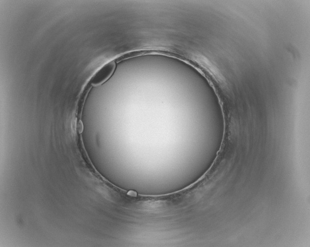 X0000115691268200911251806