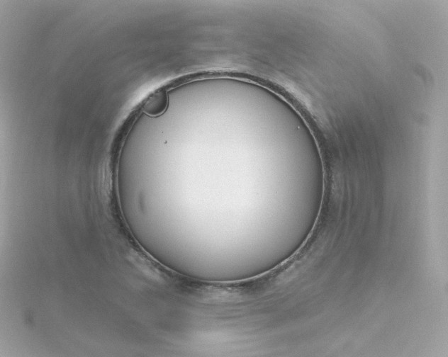 X0000115691270200911251805