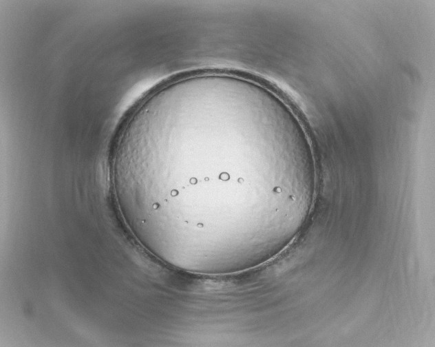 X0000115691271200911251805