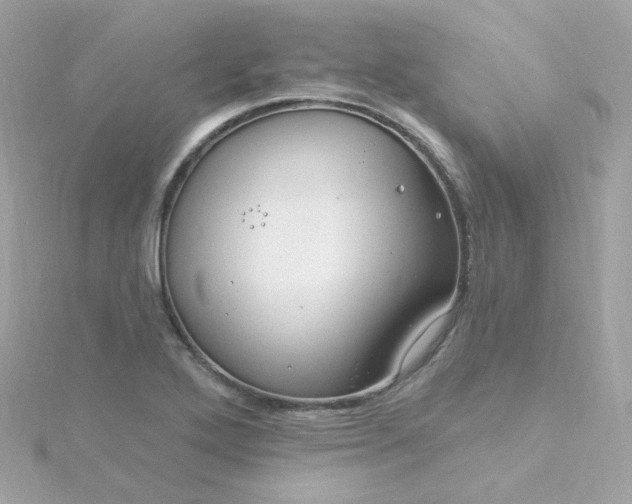 X0000115691272200911251805