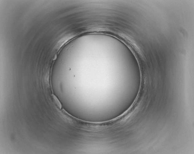 X0000115691273200911251805