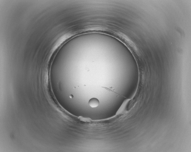 X0000115691274200911251805