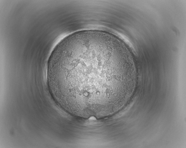 X0000115691275200911251805