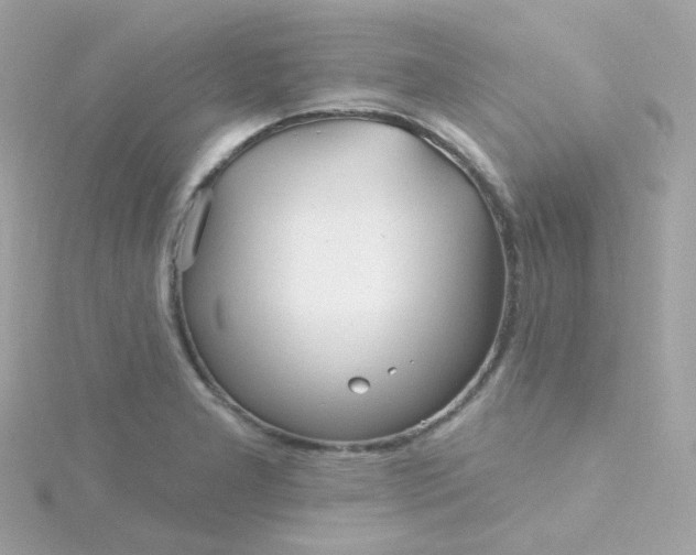 X0000115691277200911251805