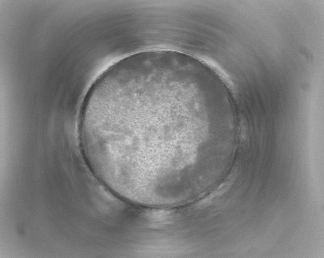 X0000115691278200911251805