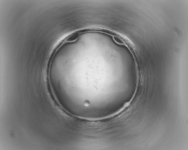 X0000115691279200911251805