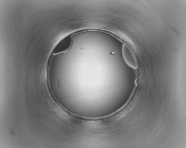 X0000115691280200911251805