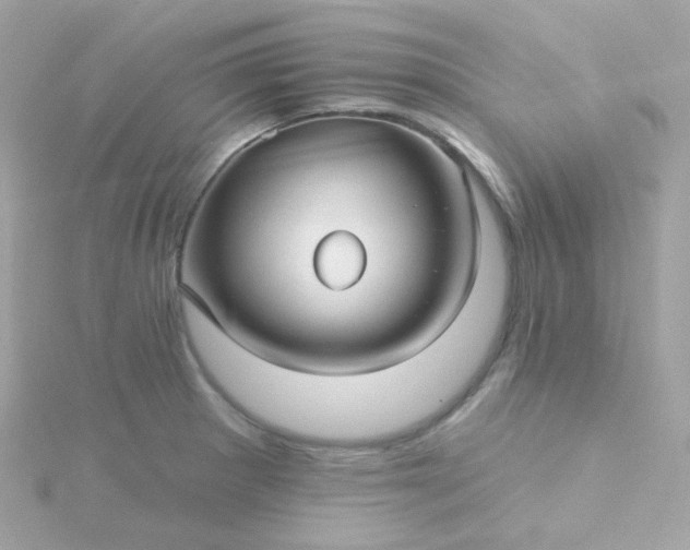 X0000115691281200911251805