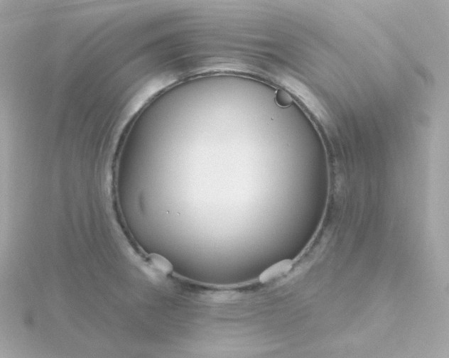 X0000115691282200911251805