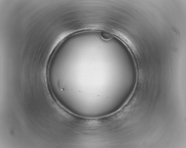 X0000115691283200911251805