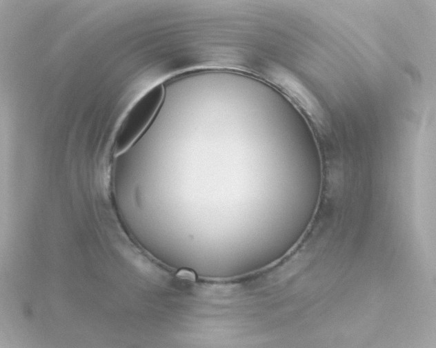 X0000115691284200911251805