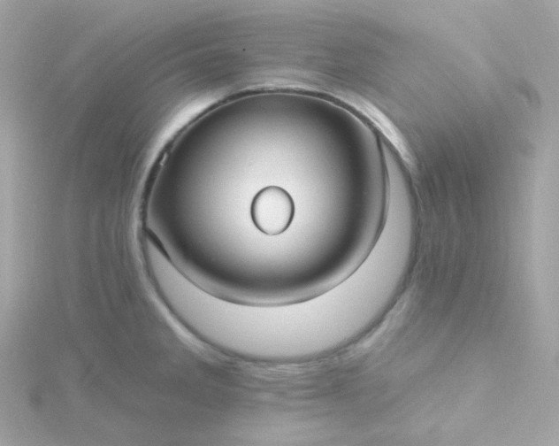 X0000115691285200911251805