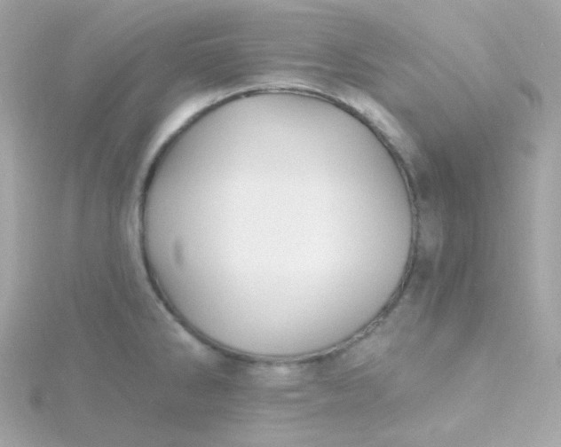 X0000115691286200911251805