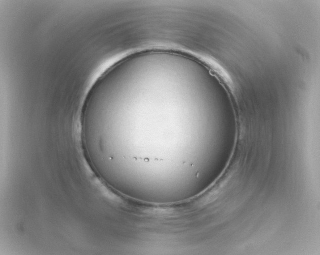 X0000115691287200911251805