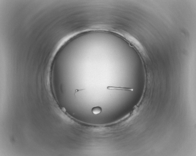 X0000115691288200911251805