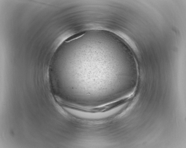 X0000115691289200911251805