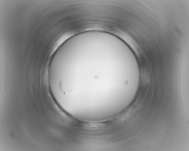 X0000115691290200911251805