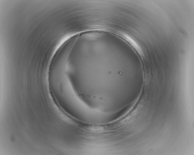 X0000115691291200911251805