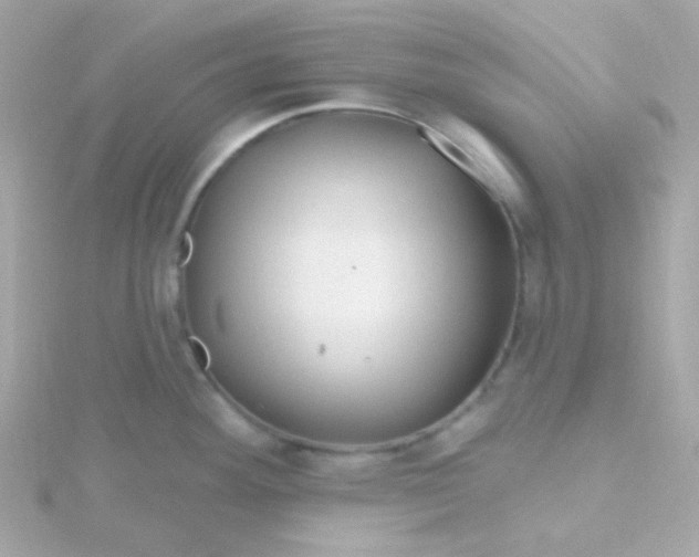 X0000115691292200911251805