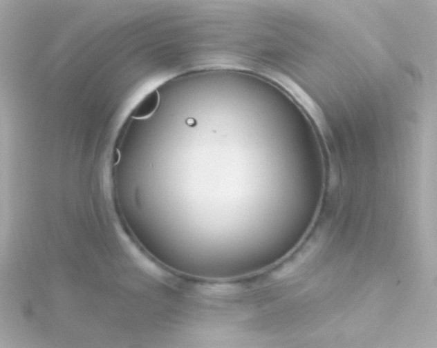 X0000115691293200911251805