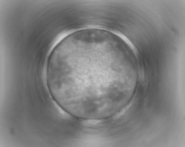 X0000115691294200911251805