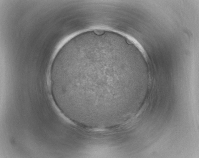 X0000115691295200911251805