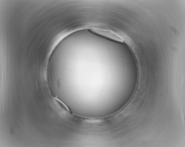 X0000115691296200911251805