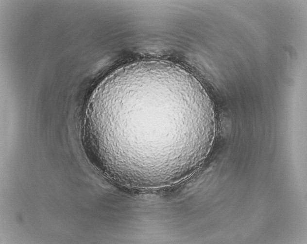 X0000115691297200911251804