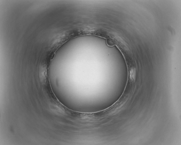 X0000115691299200911251805