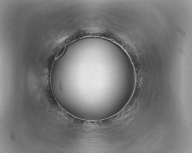 X0000115691301200911251805