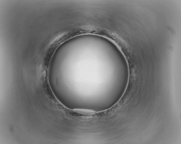 X0000115691302200911251805