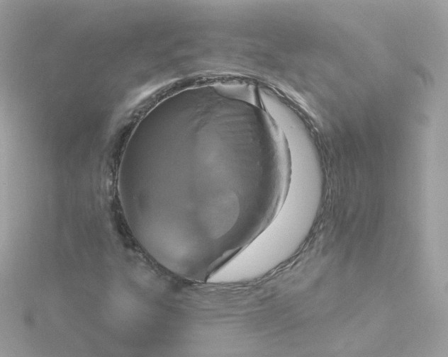 X0000115691303200911251805